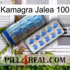 Kamagra Jelly 100 40